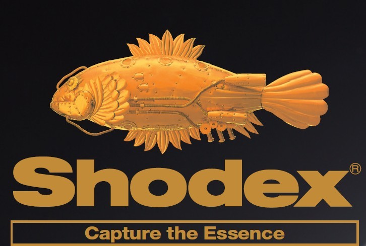 色谱柱 Shodex Asahipak  ODP-50 4E