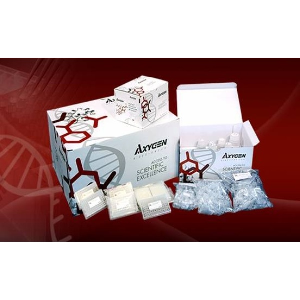 人心钠肽(ANP)ELISA Kit