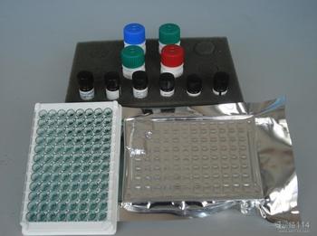 人蛋白酪氨酸磷酸酶(PTP/PTPase/CD148)免疫组化试剂盒