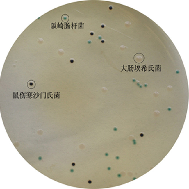 阪崎肠杆菌显色培养基(dfi琼脂)