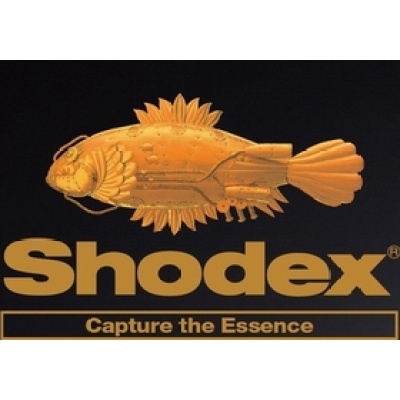 shodex 阴离子交换色谱柱