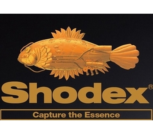 shodex 阴离子交换色谱柱