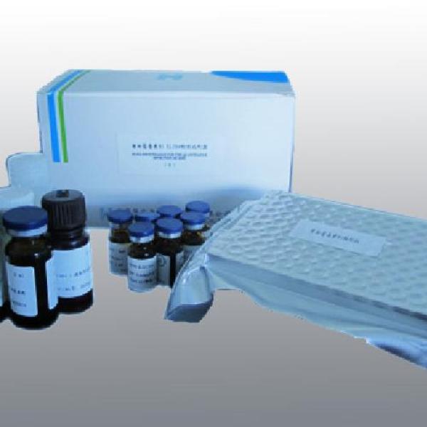 大鼠肾损伤分子1(Kim-1)ELISA Kit