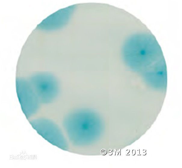 3M 霉菌及酵母测试片