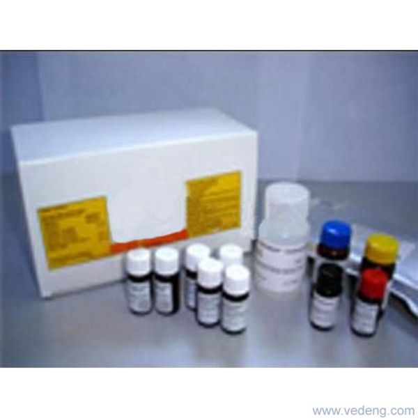 人神经氨酸酶(NA)ELISA Kit