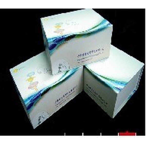 人血清淀粉样蛋白A(SAA)ELISA Kit