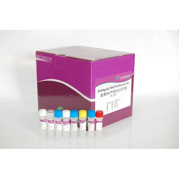 人核糖核酸酶(RNASE)ELISA Kit