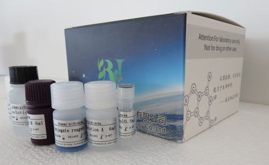 大鼠甘露糖结合凝集素(MBL)ELISA试剂盒
