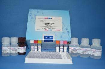 人可溶性白细胞分化抗原28(sCD28)免疫组化试剂盒