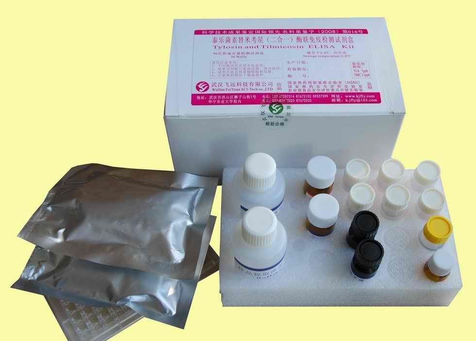 人E选择素(E-Selectin/CD62E)ELISA试剂盒 