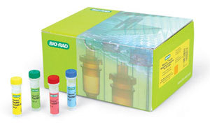 人脑钠素/脑钠尿肽(BNP)ELISA试剂盒