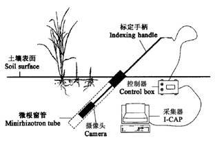 BTC-100微根窗根系观测系统