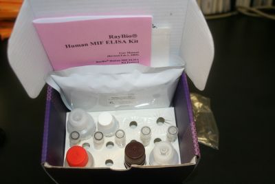 人肝癌抗原(PHC)ELISA试剂盒 