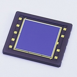 位置传感器（PSD）滨松光子学商贸（中国）有限公司