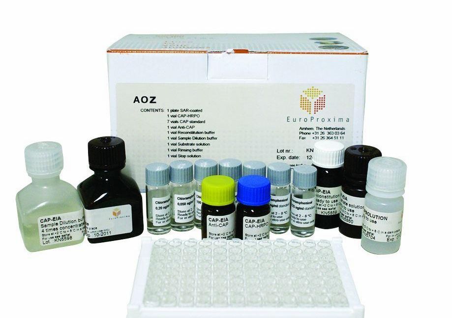 人上皮中性粒细胞活化肽78(ENA-78/CXCL5)ELISA试剂盒