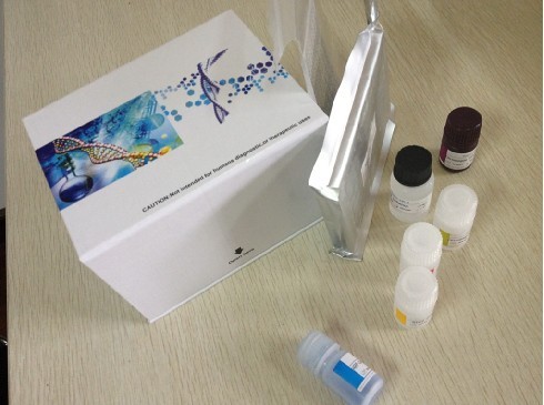 大鼠抑瘤素M(OSM)ELISA试剂盒