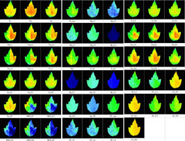 FluorCam封闭式叶绿素荧光成像系统