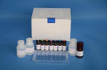 小鼠钩端螺旋体IgG(Lebtospira)免疫组化试剂盒