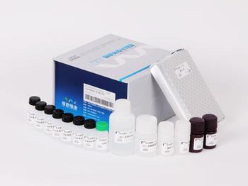 ?人整合素αⅤβ3(Integrin αⅤβ3)免疫组化试剂盒	