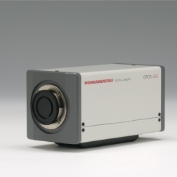 高分辨率数字CCD相机ORCA-05G