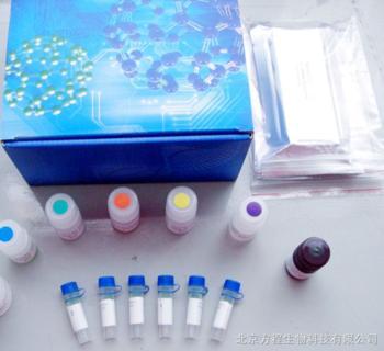 人白介素1(IL-1)免疫组化试剂盒