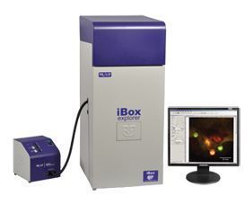 美国UVP iBox Explorer 活体小动物荧光显微成像系统