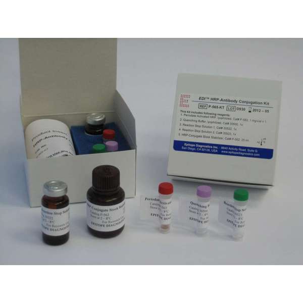 大鼠血管紧张素Ⅰ转化酶(ACE)检测试剂盒