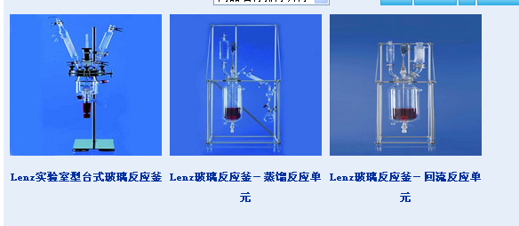  Lenz 实验室型台式玻璃反应釜