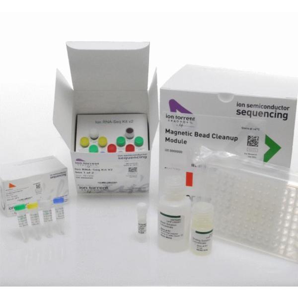 大鼠抗增殖细胞核抗原抗体(PCNA)检测试剂盒