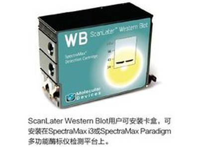 ScanLater Western Blot 检测系统