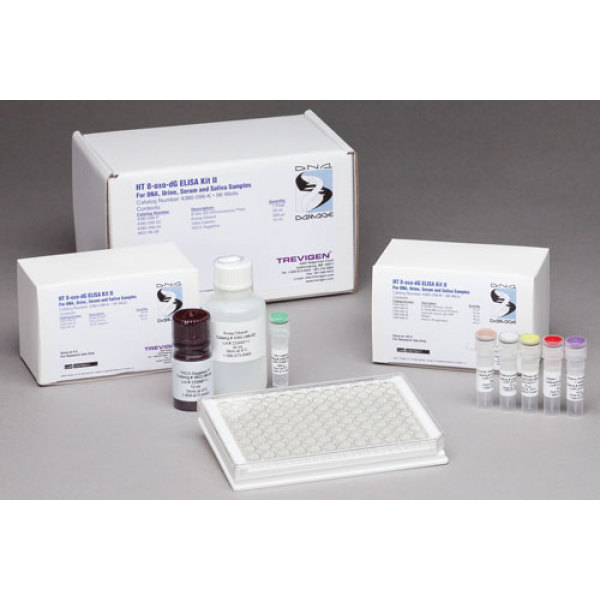 大鼠内毒素(ET)检测试剂盒