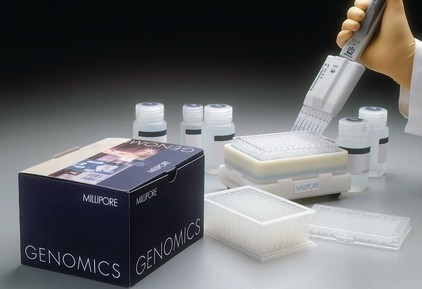 小鼠白介素8(IL-8/CXCL8)ELISA试剂盒