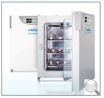 Thermo Fisher Labserv CO2培养箱