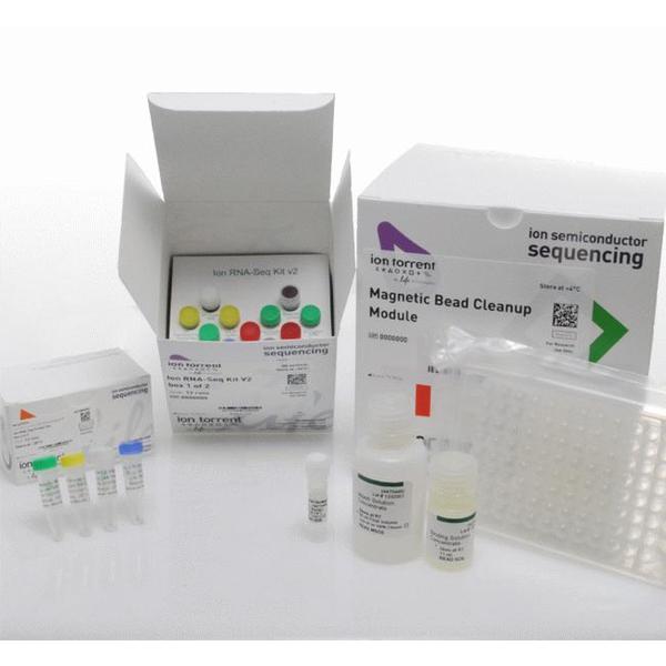 大鼠嗜酸粒细胞趋化蛋白Eotaxin 1(Eotaxin 1)检测试剂盒