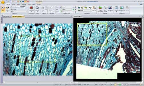 Image-Pro Insight8.0美国IPP显微图像处理软件