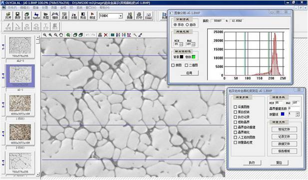 UMS300-ALP合金孔隙率显微分析仪