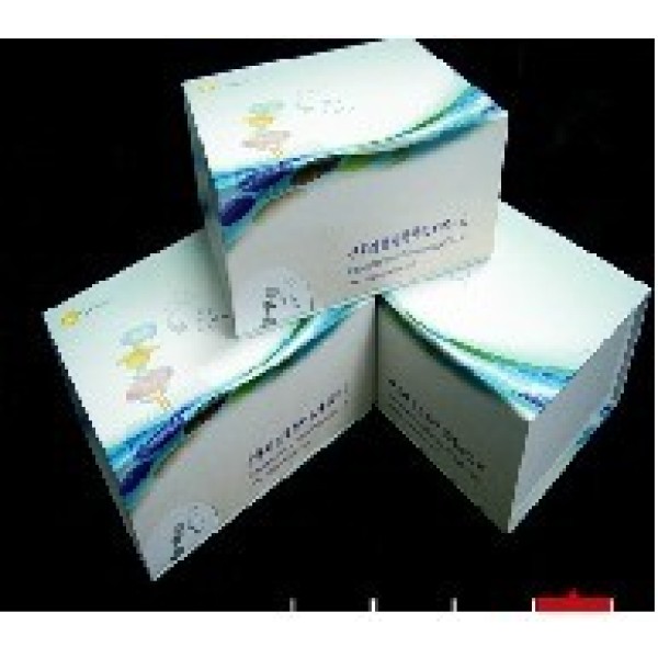 人的牛血清白蛋白残留检测ELISA Kit