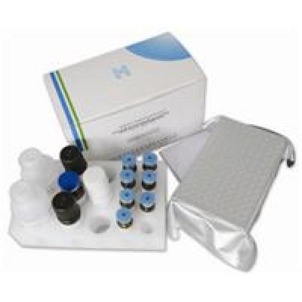 EB病毒衣壳抗体检测试剂盒（金标法）