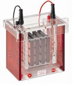 湿法转印系统 Tankblot Eco-Mini  Tankblot Eco-Maxi