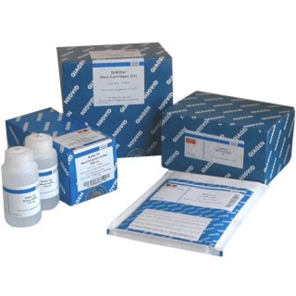 蛋白标准品检测试剂盒