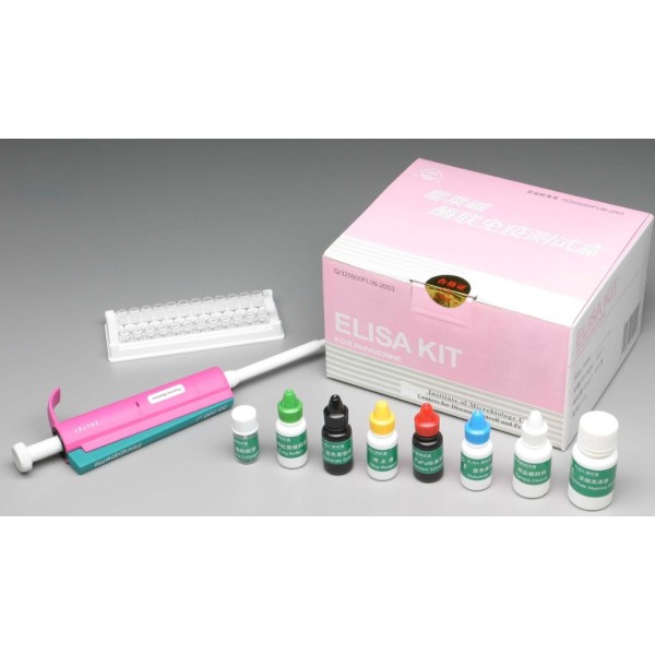 大鼠促性腺激素抑制激素(GnIH)检测试剂盒