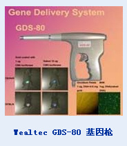 Wealtec GDS-80 基因枪