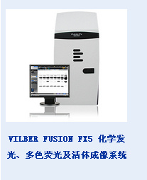  VILBER INFINITY 3026 凝胶成像系统