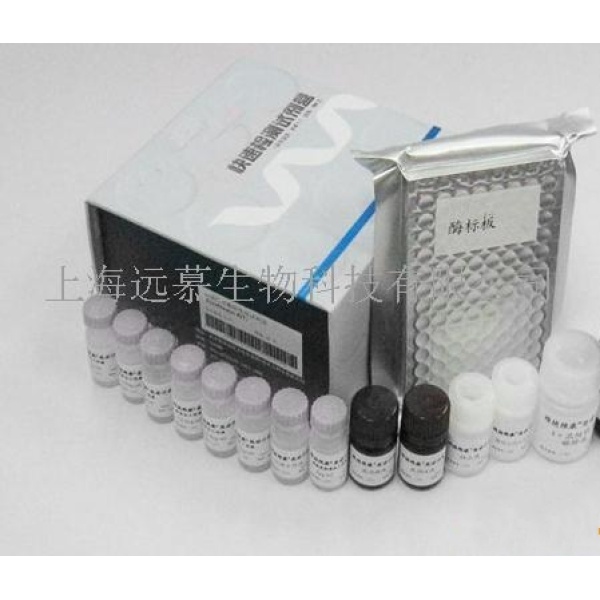 人白介素1(IL-1)ELISA kit