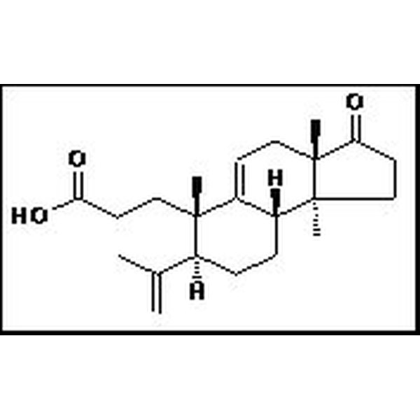 659738-08-6 三萜酸A MicranoicacidA