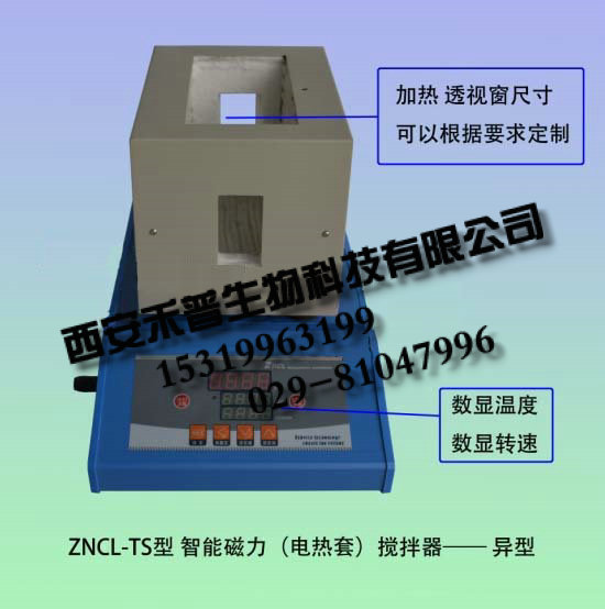 ZNCL-T-C智能磁力搅拌器