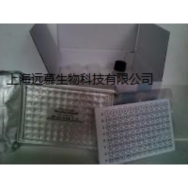 人尿微量白蛋白(ALB)ELISA试剂盒 
