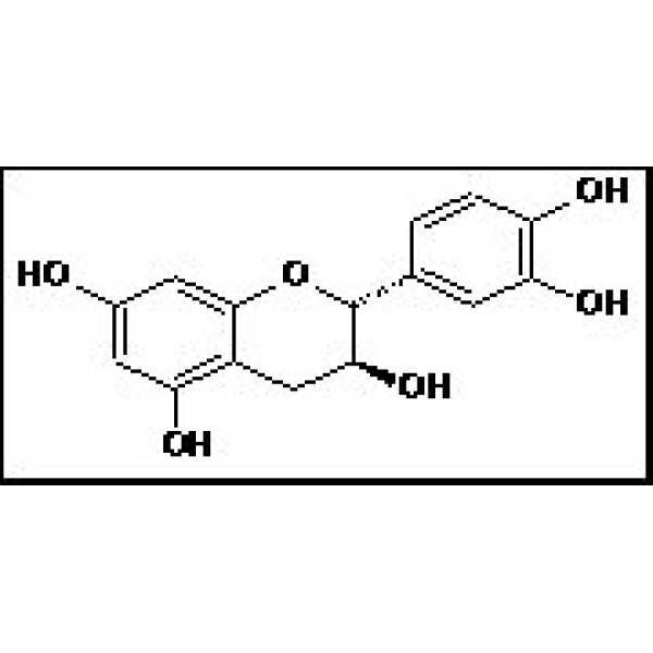 154-23-4 儿茶素 Catechin