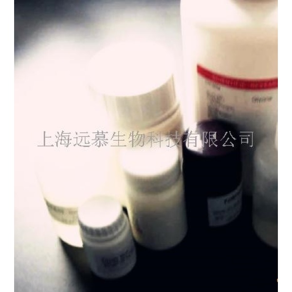 黄芩素491-67-8 