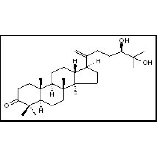 63543-53-3 24，25-二羟基达马树脂-20-烯-3-酮 